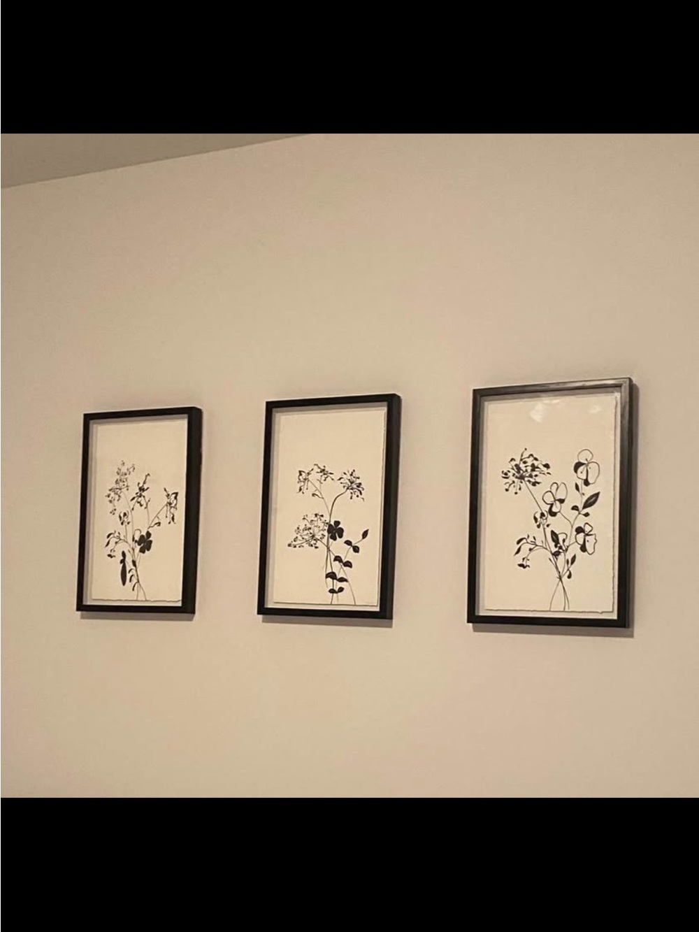Minimal Black Botanical Wall Art Trio – Modern Framed Prints